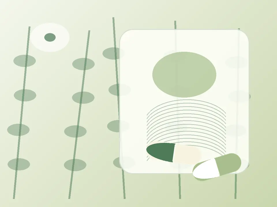 Botanische Prüfillustration mit Blättern und neutraler Verpackungsform